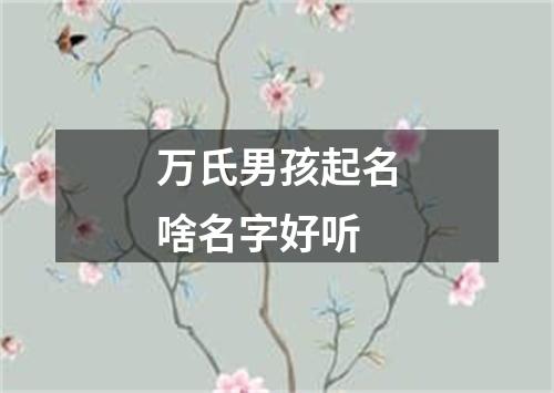 万氏男孩起名啥名字好听