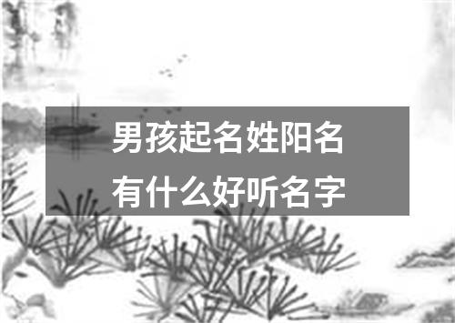 男孩起名姓阳名有什么好听名字