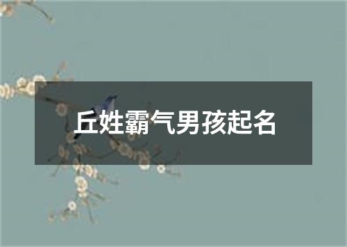 丘姓霸气男孩起名