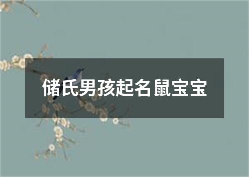 储氏男孩起名鼠宝宝