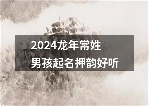 2024龙年常姓男孩起名押韵好听