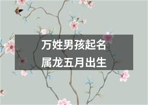 万姓男孩起名属龙五月出生