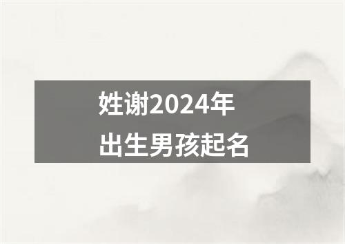 姓谢2024年出生男孩起名