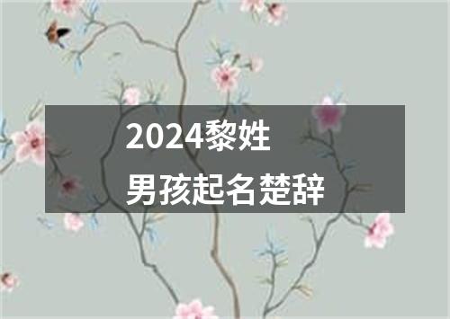 2024黎姓男孩起名楚辞