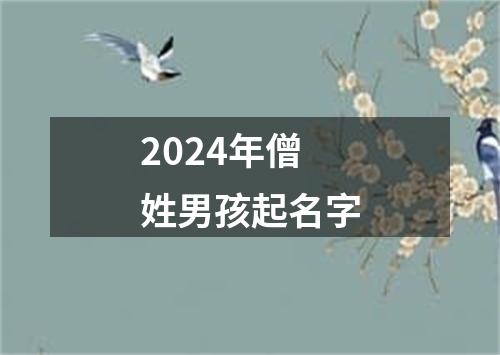 2024年僧姓男孩起名字