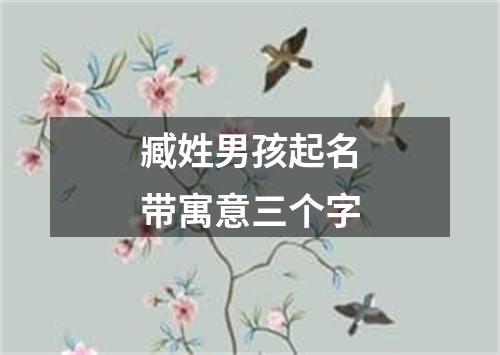 臧姓男孩起名带寓意三个字