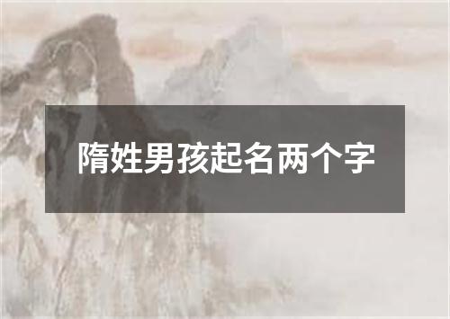 隋姓男孩起名两个字