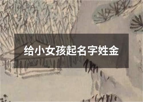 给小女孩起名字姓金