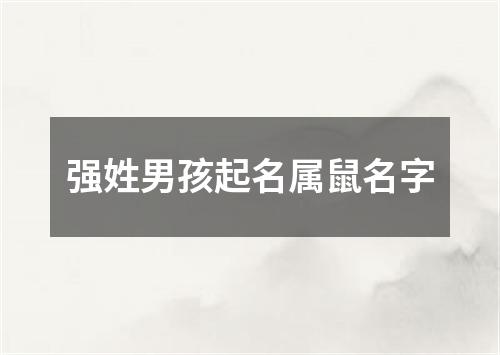 强姓男孩起名属鼠名字