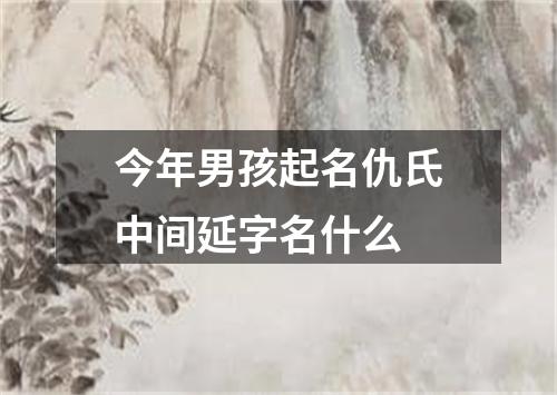 今年男孩起名仇氏中间延字名什么