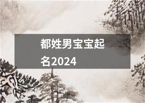 都姓男宝宝起名2024