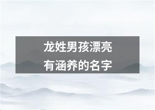 龙姓男孩漂亮有涵养的名字