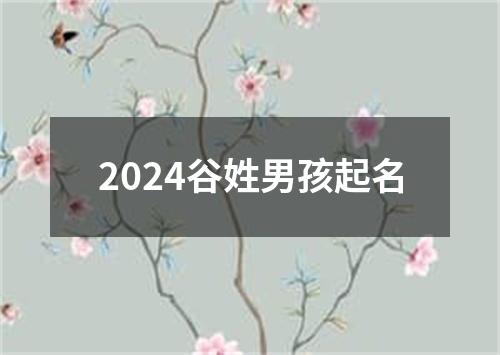 2024谷姓男孩起名