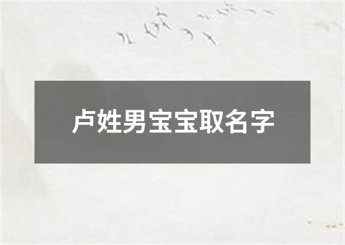 卢姓男宝宝取名字