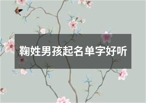 鞠姓男孩起名单字好听