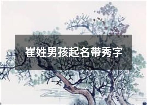 崔姓男孩起名带秀字