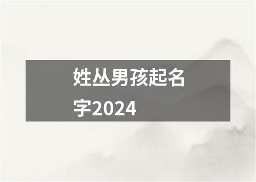 姓丛男孩起名字2024