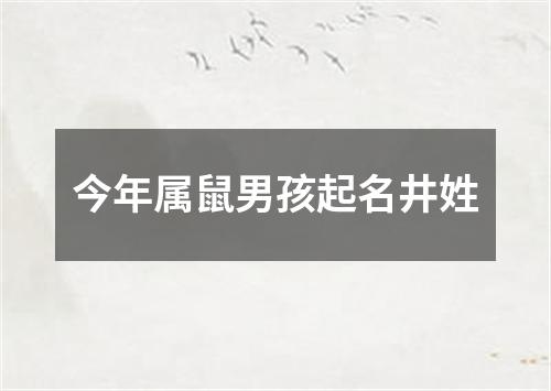 今年属鼠男孩起名井姓