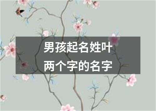 男孩起名姓叶两个字的名字