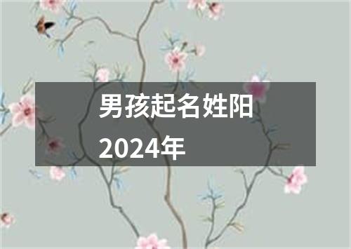 男孩起名姓阳2024年