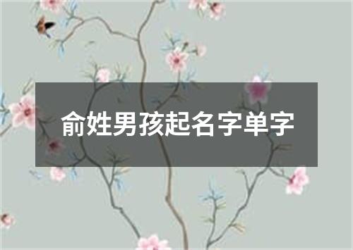 俞姓男孩起名字单字