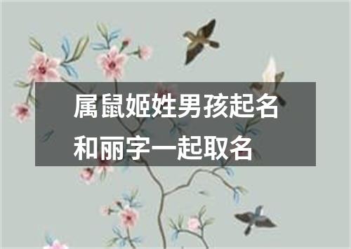 属鼠姬姓男孩起名和丽字一起取名