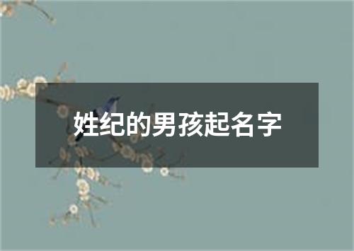 姓纪的男孩起名字