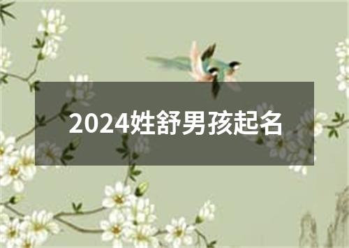 2024姓舒男孩起名