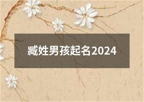 臧姓男孩起名2024