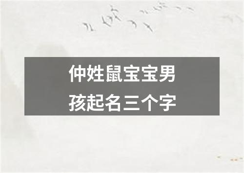 仲姓鼠宝宝男孩起名三个字