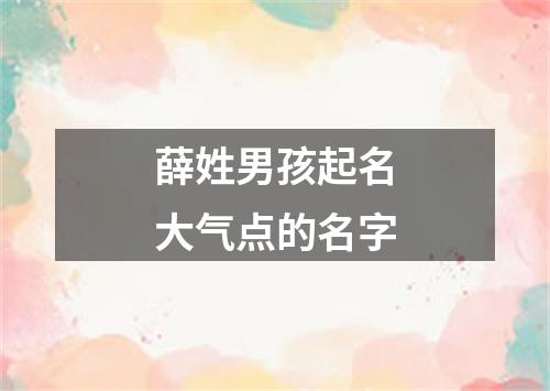 薛姓男孩起名大气点的名字