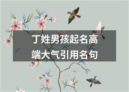 丁姓男孩起名高端大气引用名句