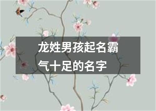 龙姓男孩起名霸气十足的名字