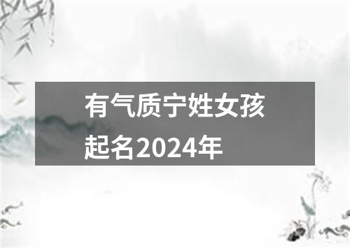 有气质宁姓女孩起名2024年