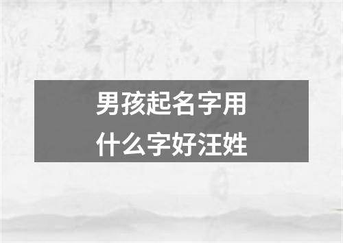 男孩起名字用什么字好汪姓