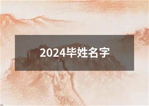 2024毕姓名字