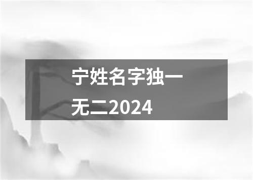 宁姓名字独一无二2024