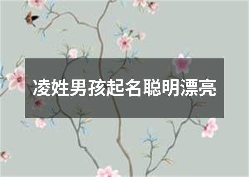 凌姓男孩起名聪明漂亮