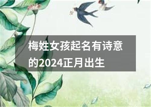 梅姓女孩起名有诗意的2024正月出生