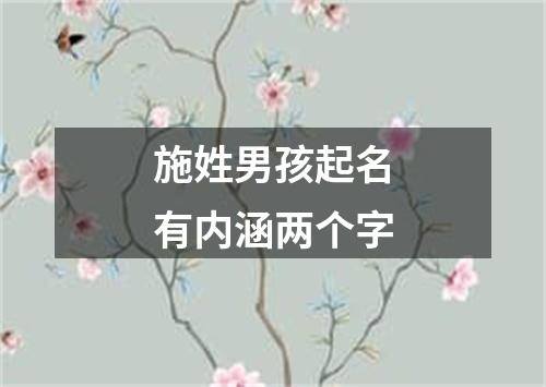 施姓男孩起名有内涵两个字