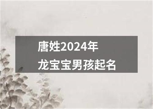 唐姓2024年龙宝宝男孩起名