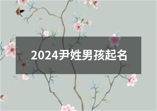 2024尹姓男孩起名