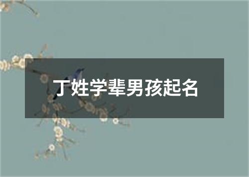 丁姓学辈男孩起名