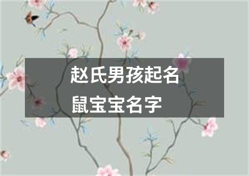 赵氏男孩起名鼠宝宝名字