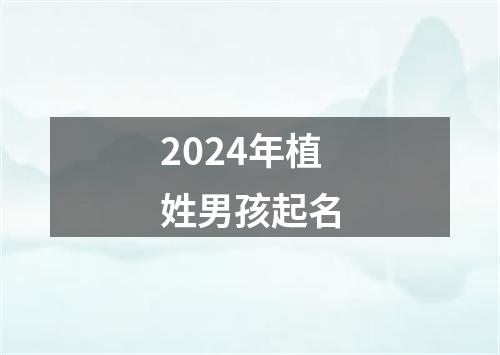 2024年植姓男孩起名