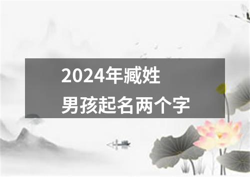 2024年臧姓男孩起名两个字