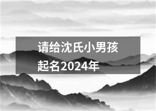 请给沈氏小男孩起名2024年