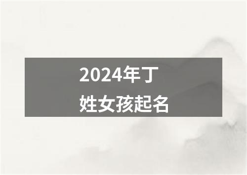 2024年丁姓女孩起名