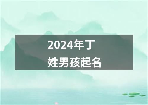 2024年丁姓男孩起名