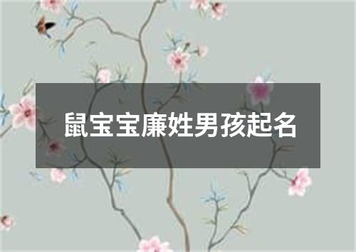 鼠宝宝廉姓男孩起名